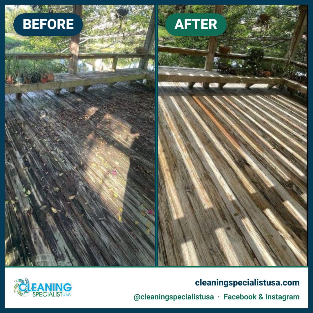 Fence & Deck Cleaning