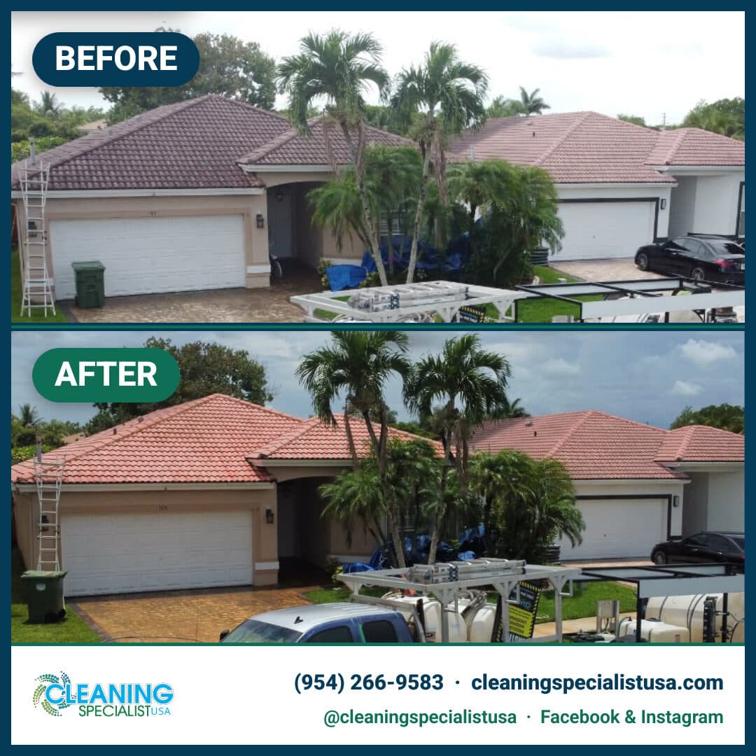 House & Building Soft-Wash