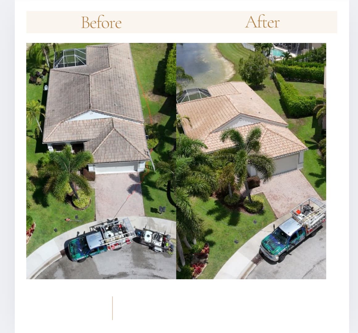 Roof soft-wash