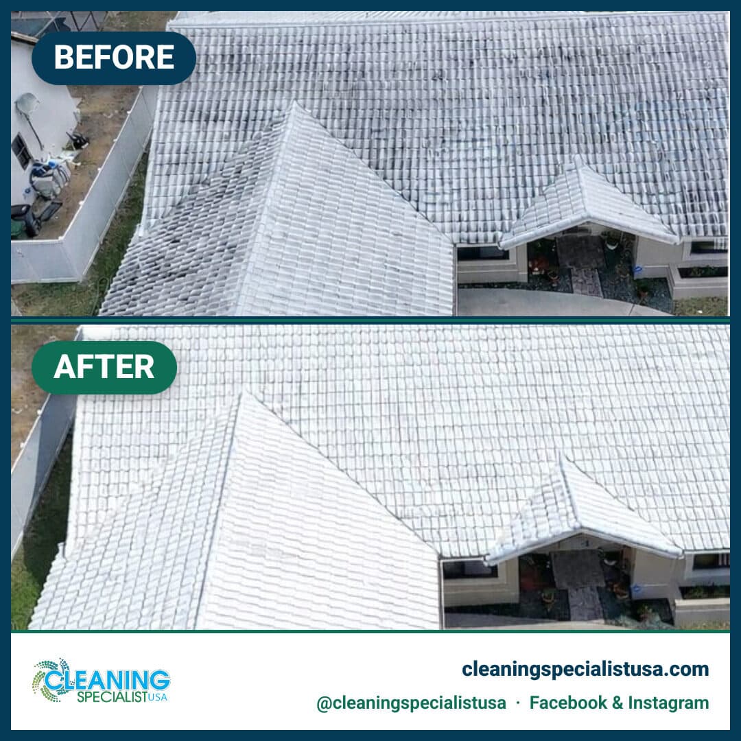 Roof Soft-Wash