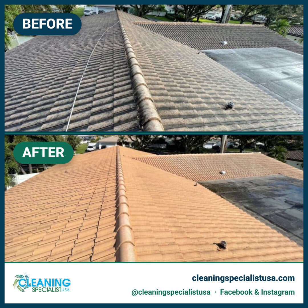 Roof Soft-Wash