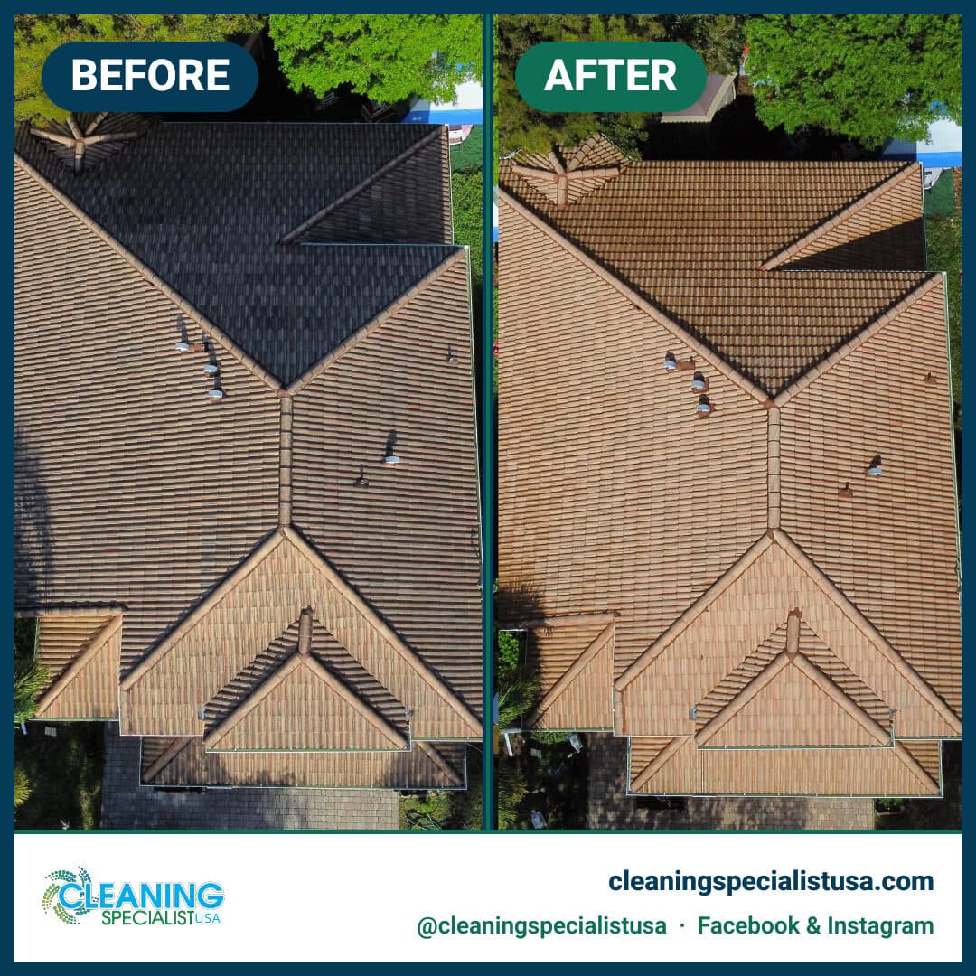 Roof Soft-Wash