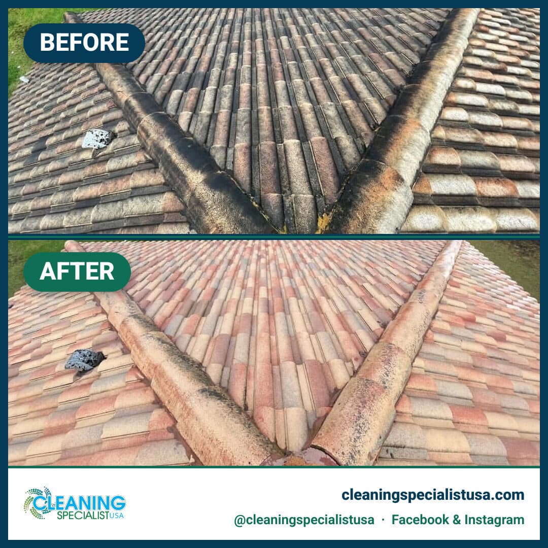 Roof Soft-Wash
