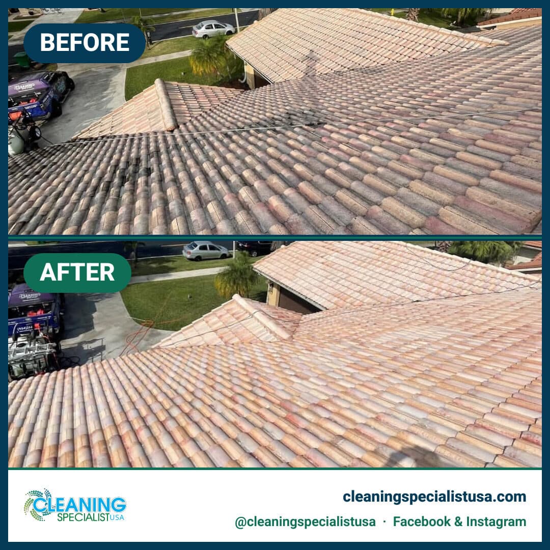 Roof Soft-Wash
