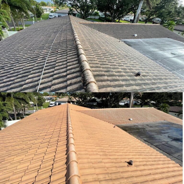 Roof soft-wash — before & after