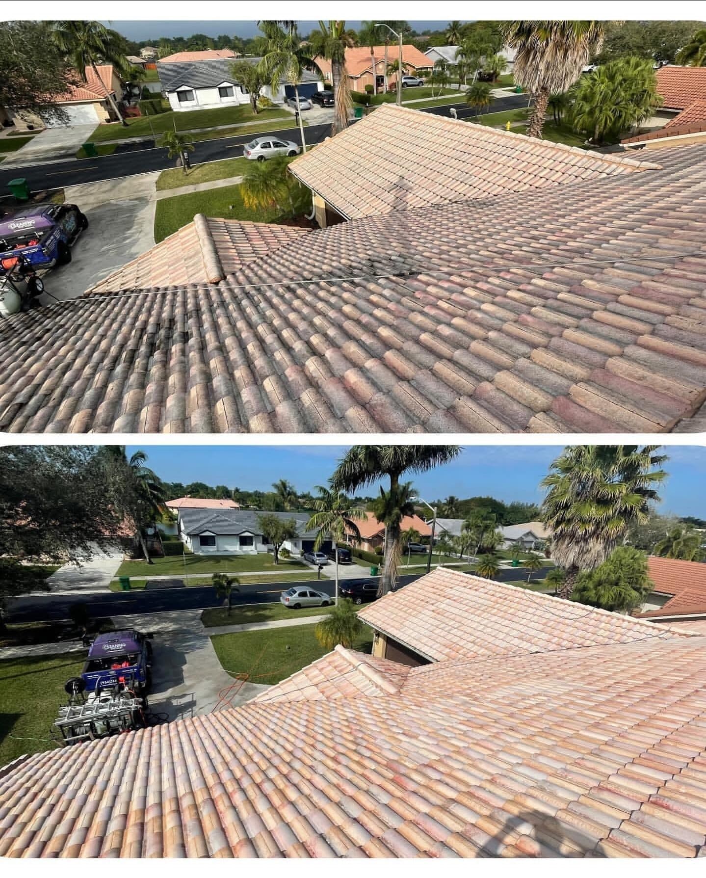 Roof soft-wash — before & after