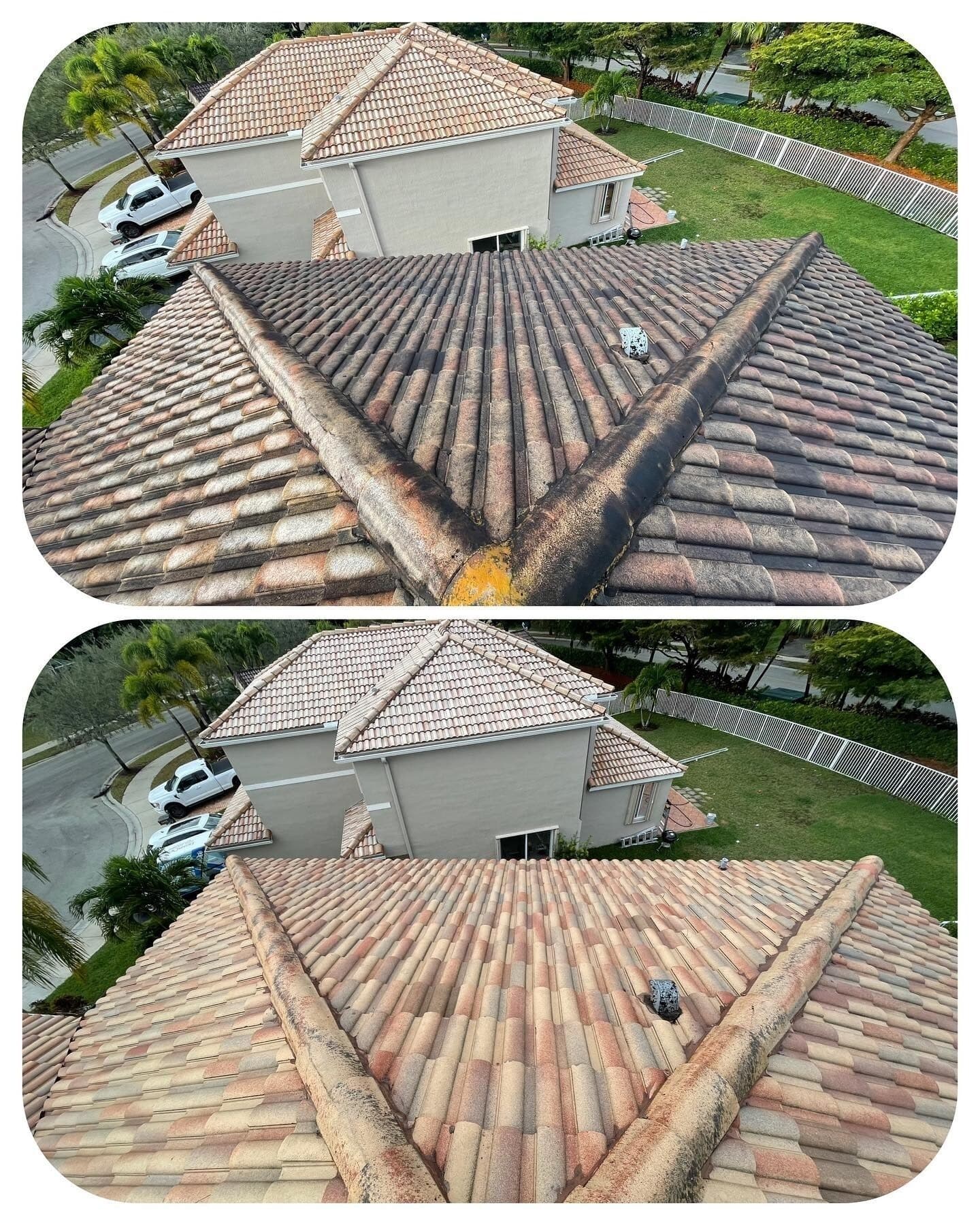 Roof soft-wash — before & after